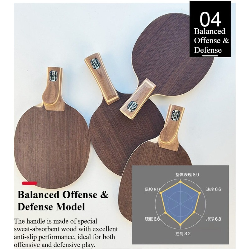 Pala de tenis de mesa profesio - Table Tennis Usa reseña y precio