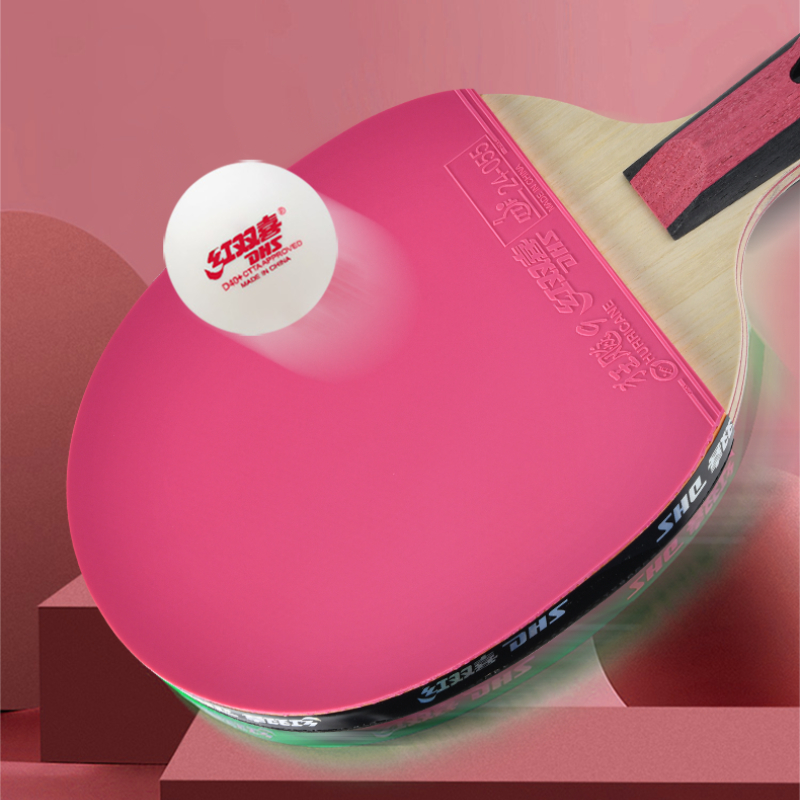Raqueta de tenis de mesa DHS d - Table Tennis World reseña y precio